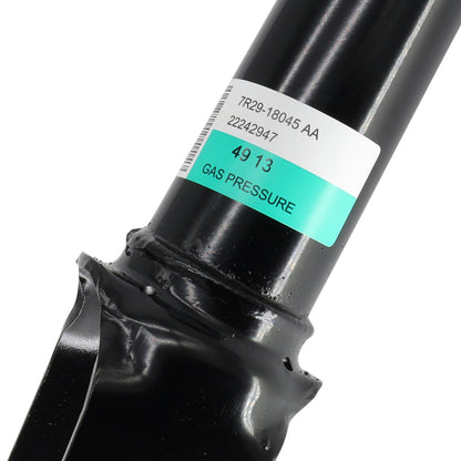 Genuine Front Strut fits Ford Falcon BF Falcon 2007 Onwards