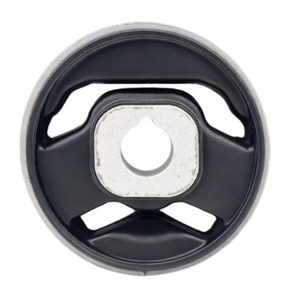 Diff side mount bush for Ford Falcon & Territory